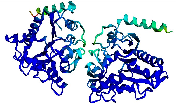 Protein Transformers: Why Biodesign Is the New Software Industry